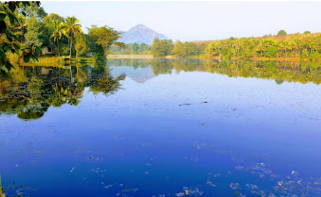 Sparrow Vale Resort Kotamangalam Exteriér fotografie