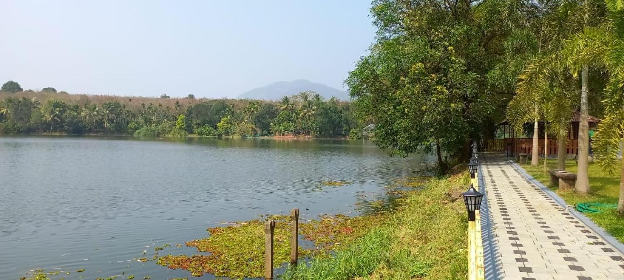 Sparrow Vale Resort Kotamangalam Exteriér fotografie
