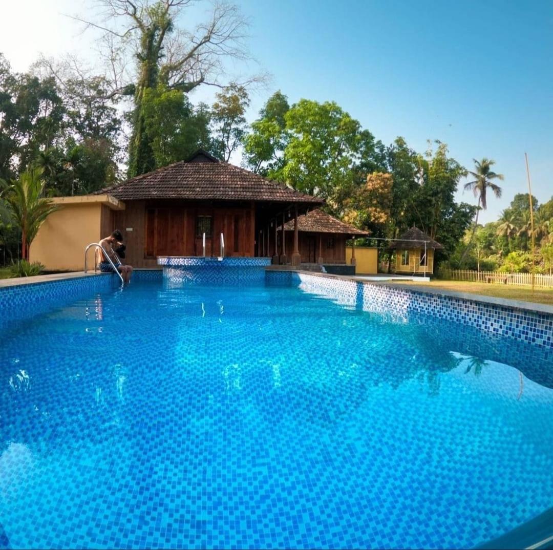 Sparrow Vale Resort Kotamangalam Exteriér fotografie